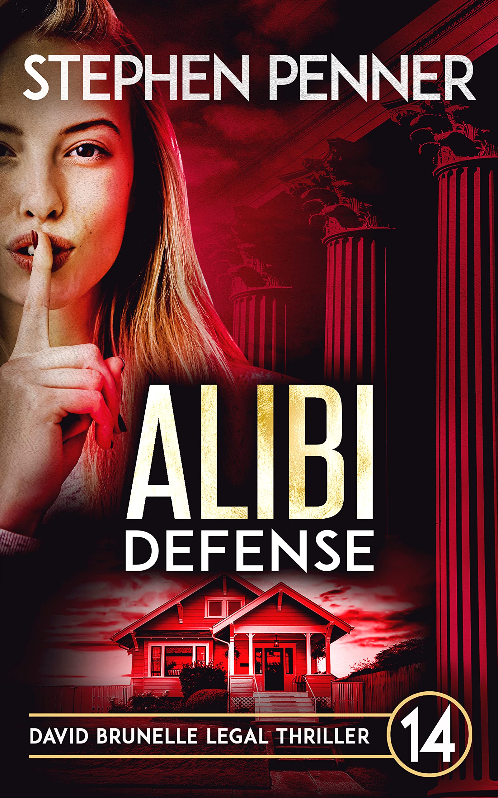 Alibi Defense: (David Brunelle Legal Thriller #14)