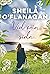 Vid min sida by Sheila O'Flanagan
