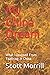 My China Dream: What I Lear...