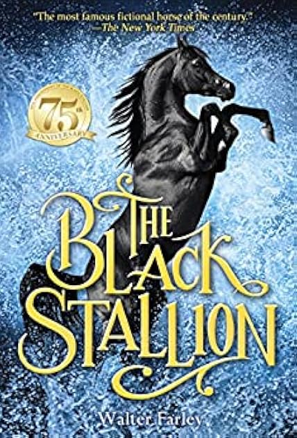 The Black Stallion (The Black Stallion, #1)