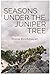 Seasons Under the Juniper Tree by Tricia Kirchmeyer