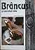 Brâncuși și secolul său