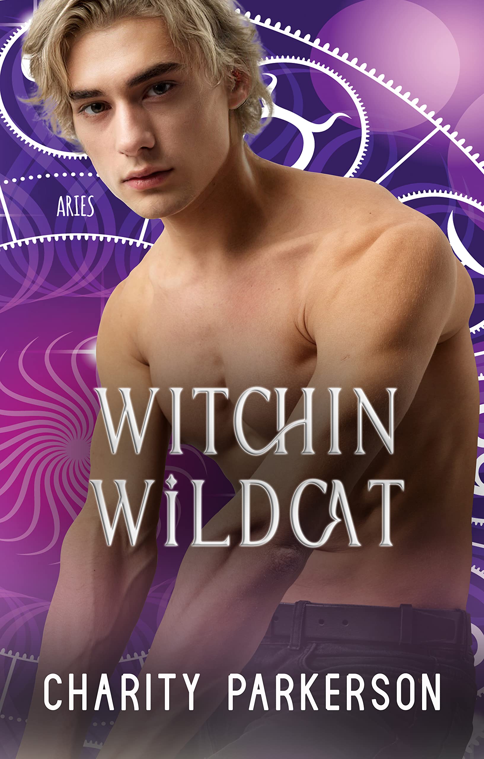 Witchin Wildcat (Witchin, #4)