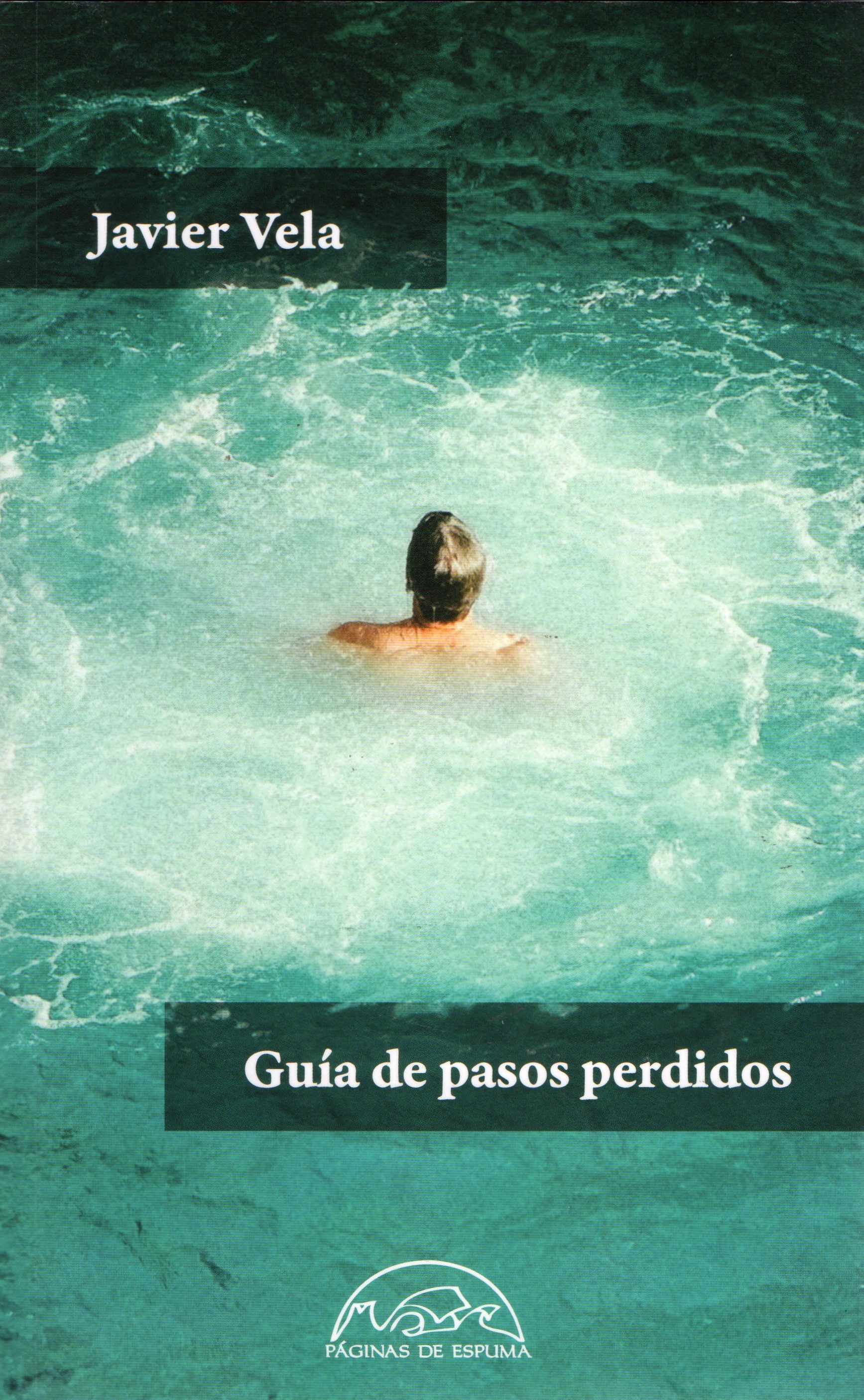 Portada de Guía de pasos perdidos, de Javier Vela