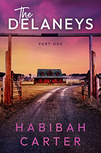 The Delaneys, Part One (Delaneys, #1)