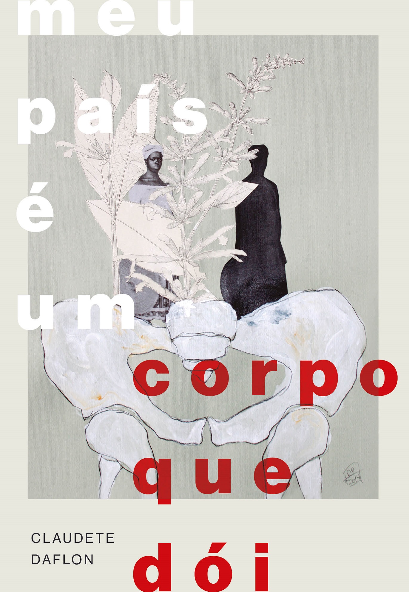 Meu país é um corpo que dói (Hardcover)