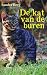 De kat van de buren