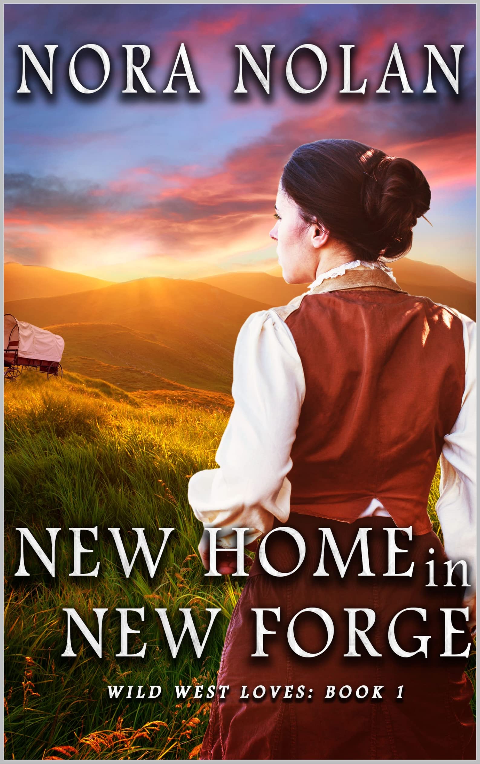New Home in New Forge (Wild West Loves #1)