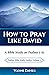 How to Pray Like David: A B...