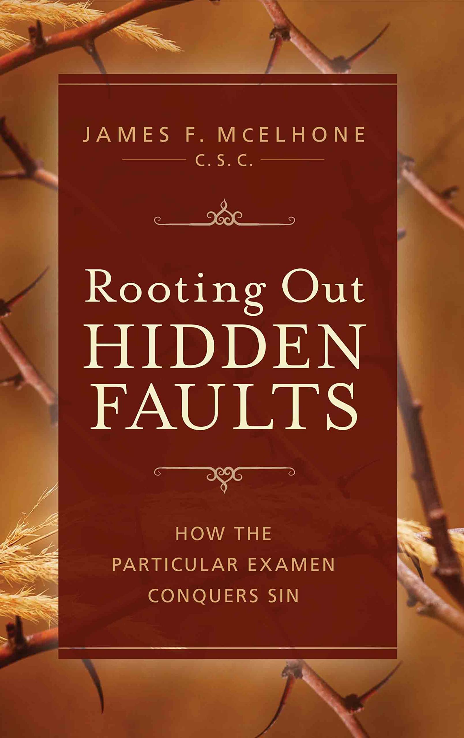 Rooting Out Hidden Faults: How the Particular Examen Conquers Sin (Kindle Edition)