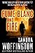 Fume Blanc and Fire by Sandra Woffington