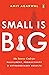 Small Is Big: The Source Code for Fulfillment, Productivity, and Extraordinary Results
