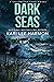 Dark Seas (Coldwater Cove, #1)