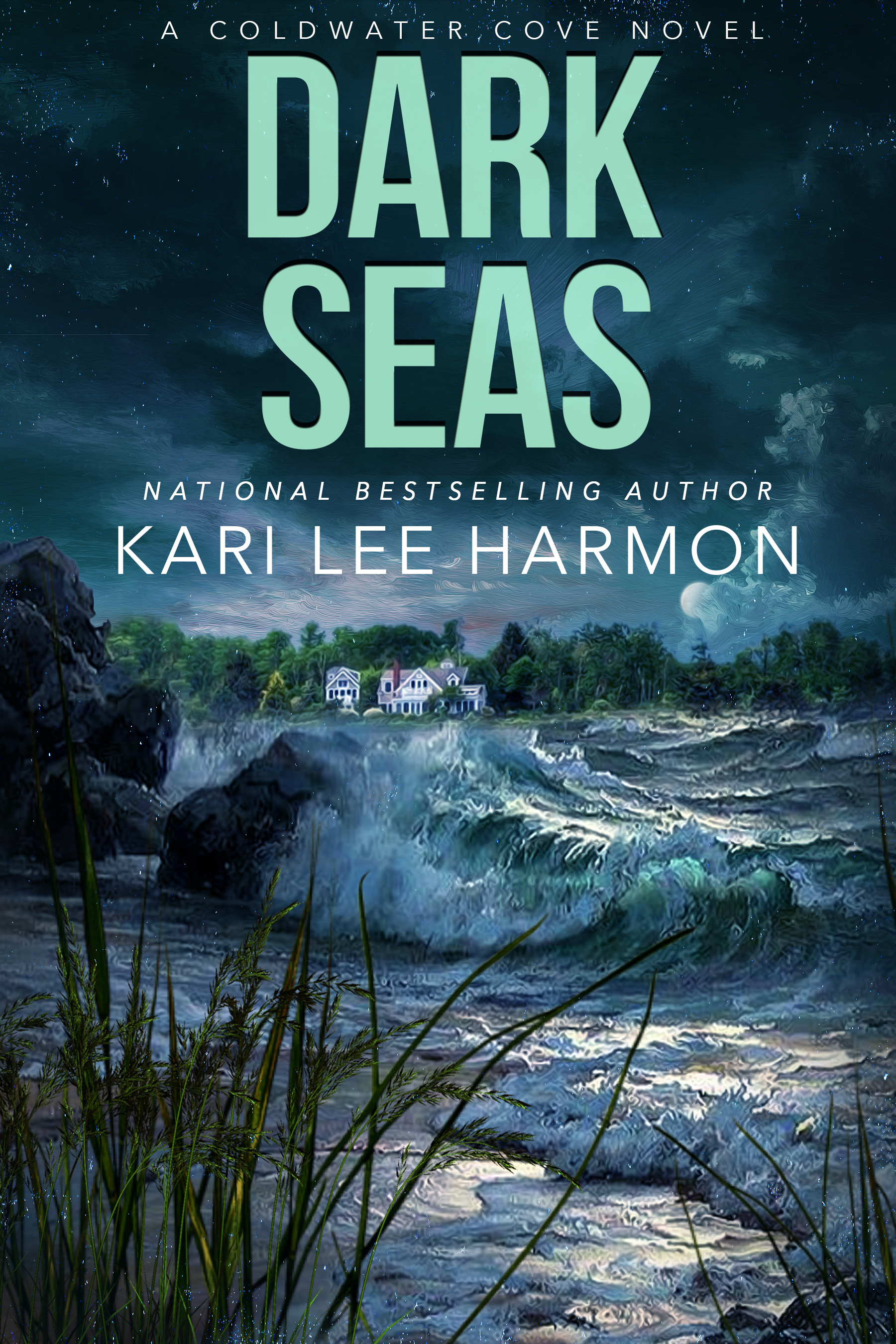 Dark Seas (Coldwater Cove, #1)