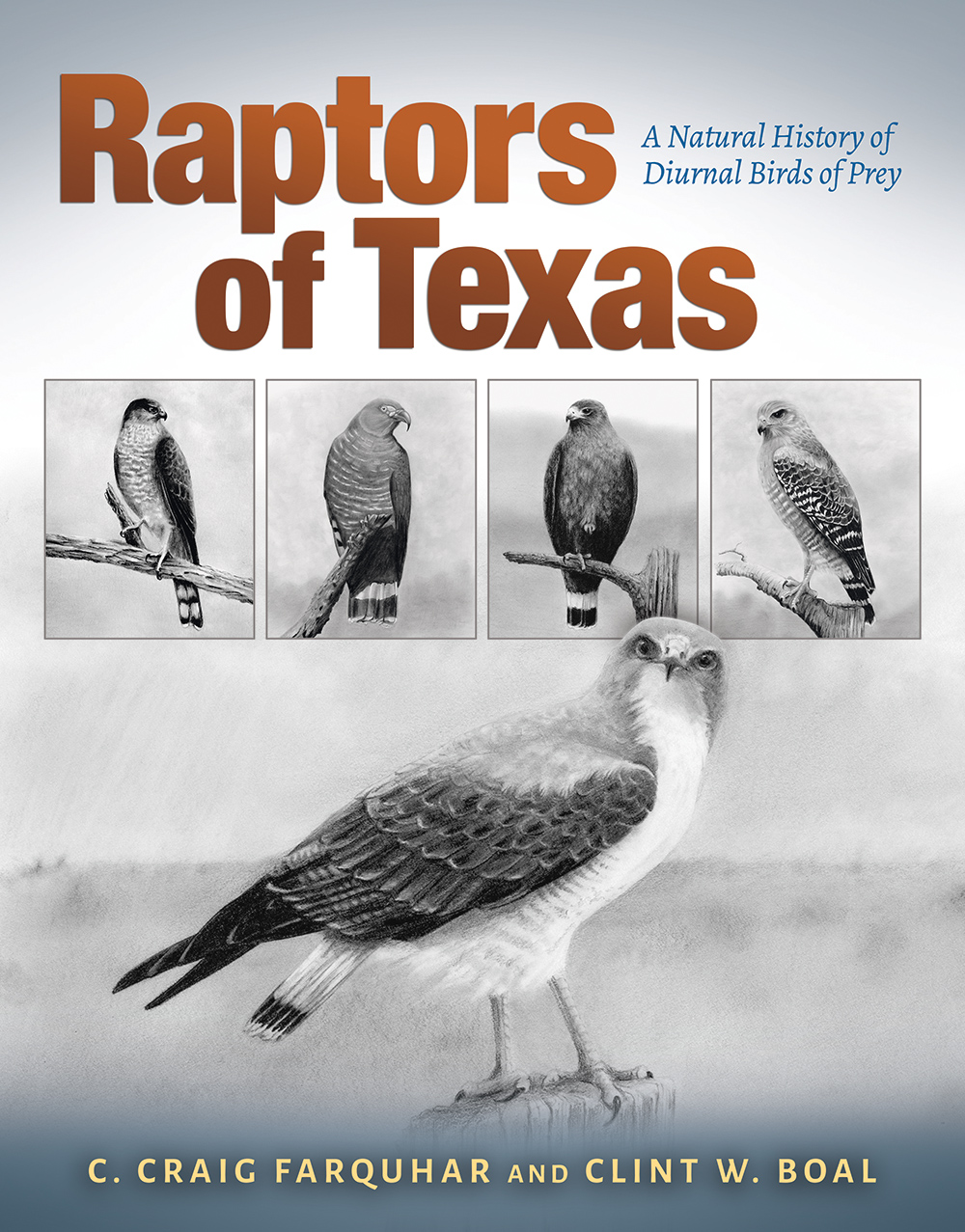 Raptors of Texas: A Natural History of Diurnal Birds of Prey (Myrna and David K. Langford Books on Working Lands)