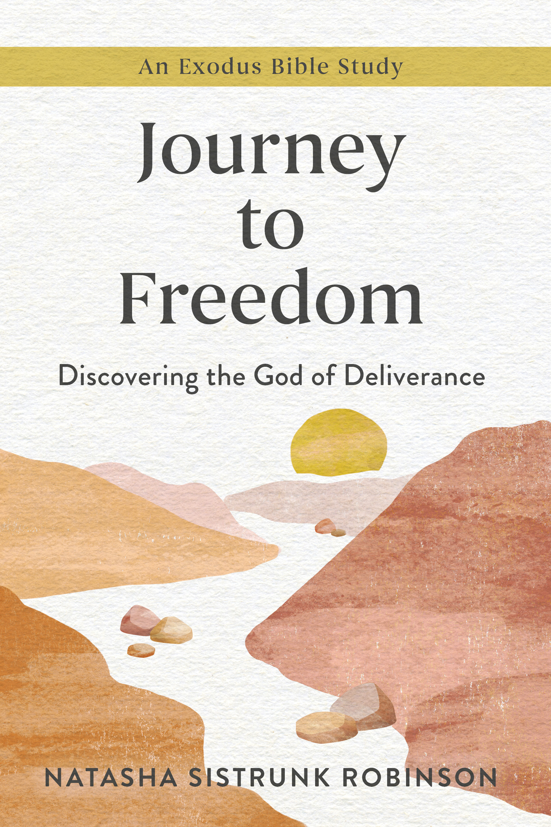 Journey to Freedom: Discovering the God of Deliverance, An Exodus Bible Study (Paperback)