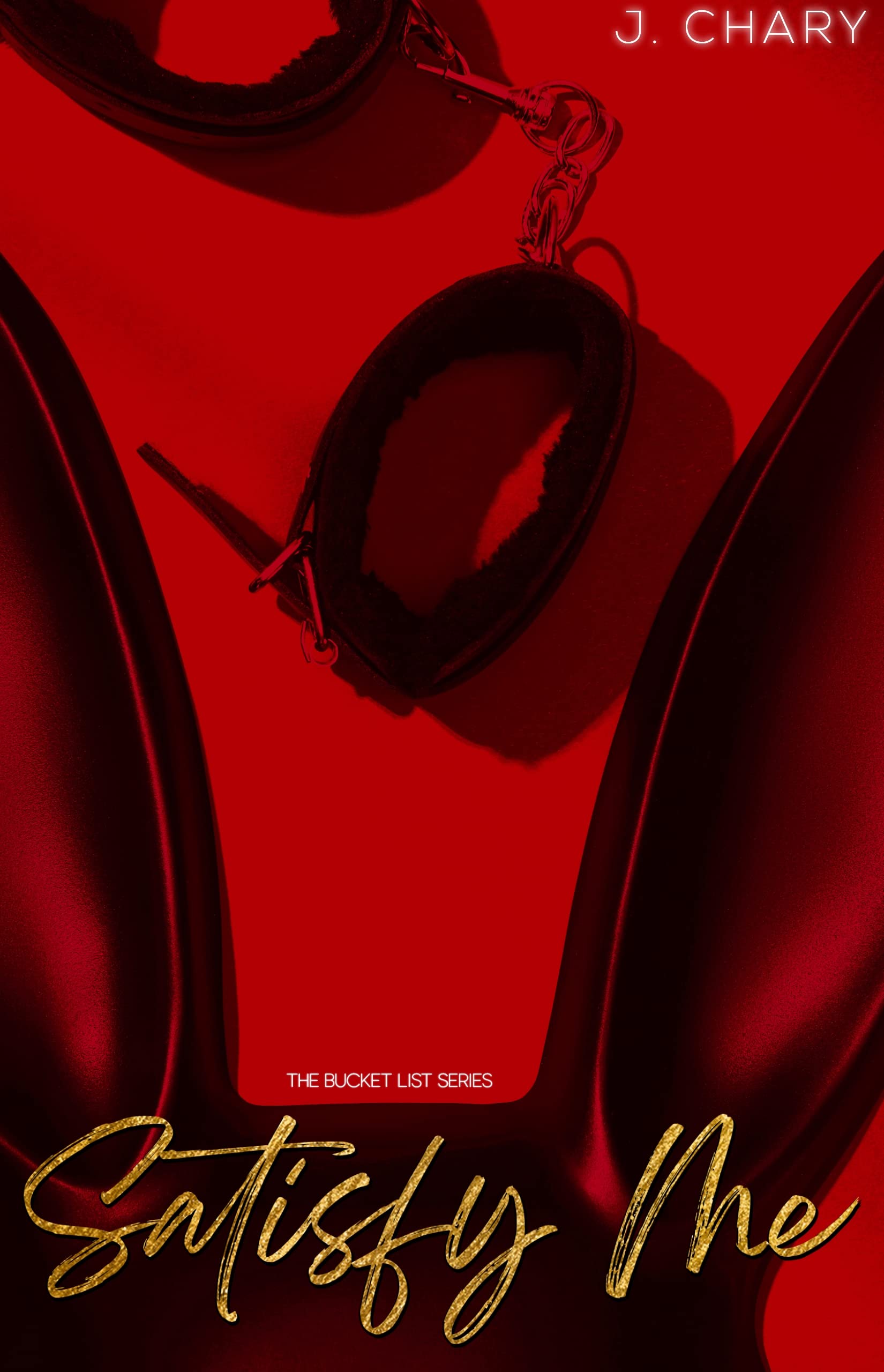 Satisfy Me (Kindle Edition)