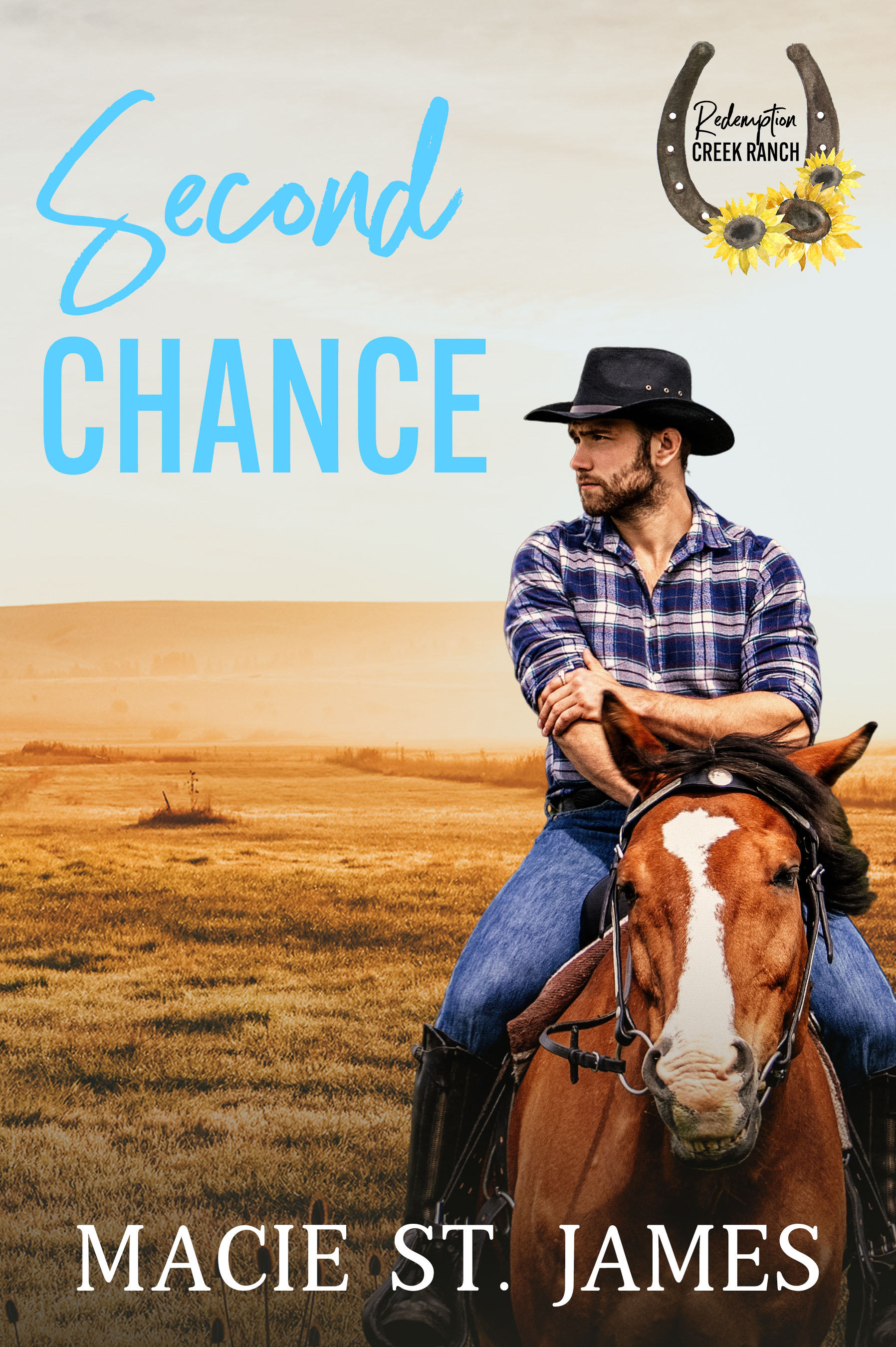 Second Chance at Redemption Creek Ranch (Redemption Creek Ranch #1)