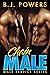 Chain Male by B.J. Powers