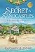 The Secret in Sandcastles: A Poppy Creek Novel