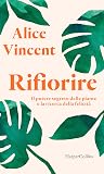 Rifiorire: Il pot...
