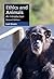 Ethics and Animals: An Introduction (Cambridge Applied Ethics)