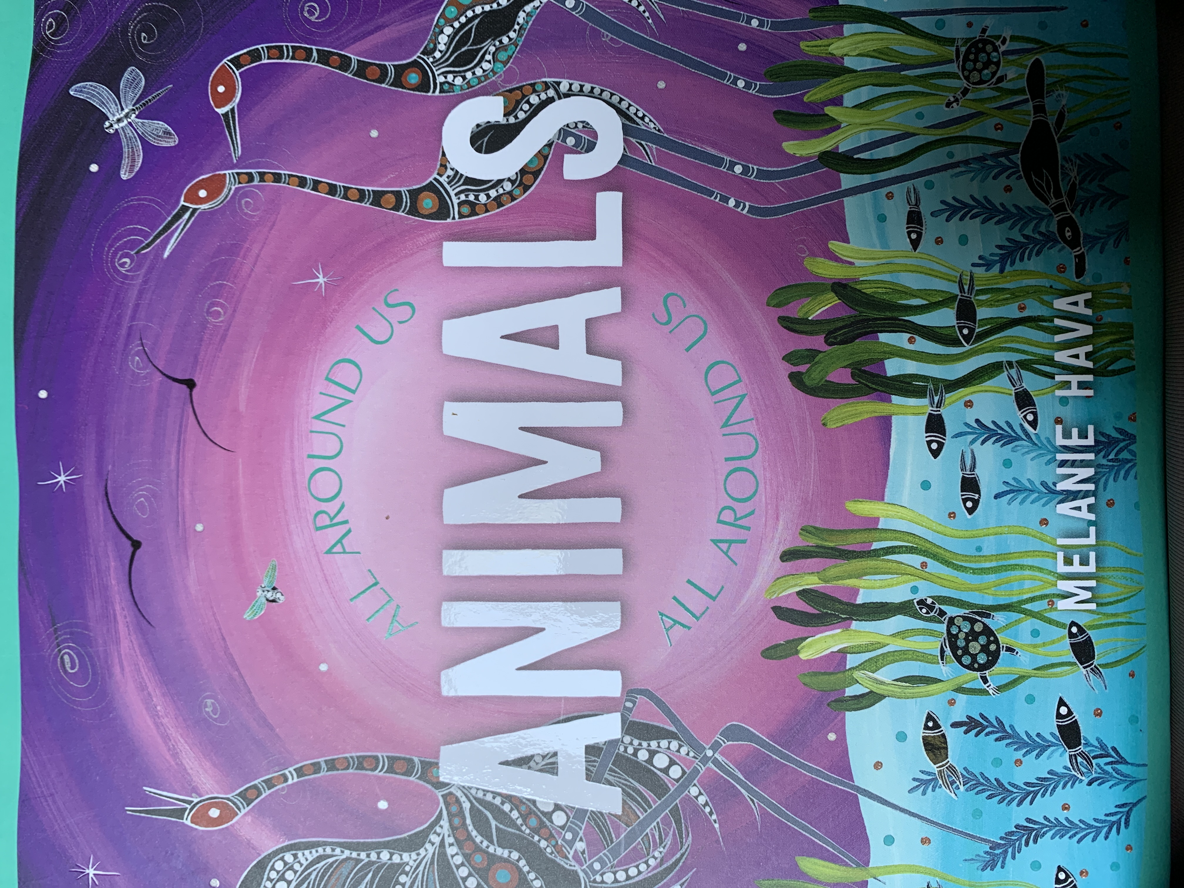 Animals all around us (Hardcover)