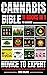 Cannabis Bible For Beginners by FRANK SPILOTRO
