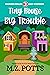 Tiny House, Big Trouble (So...