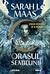Casa Cerului și a Aerului (Crescent City, #2)