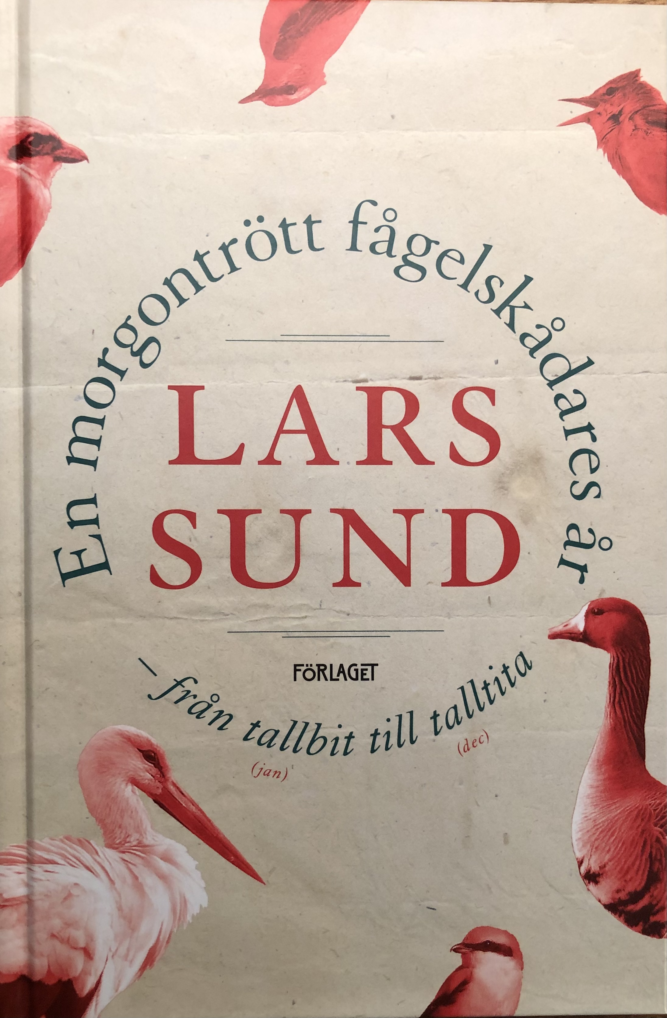 En morgontrött fågelskådares år: från tallbit till talltita