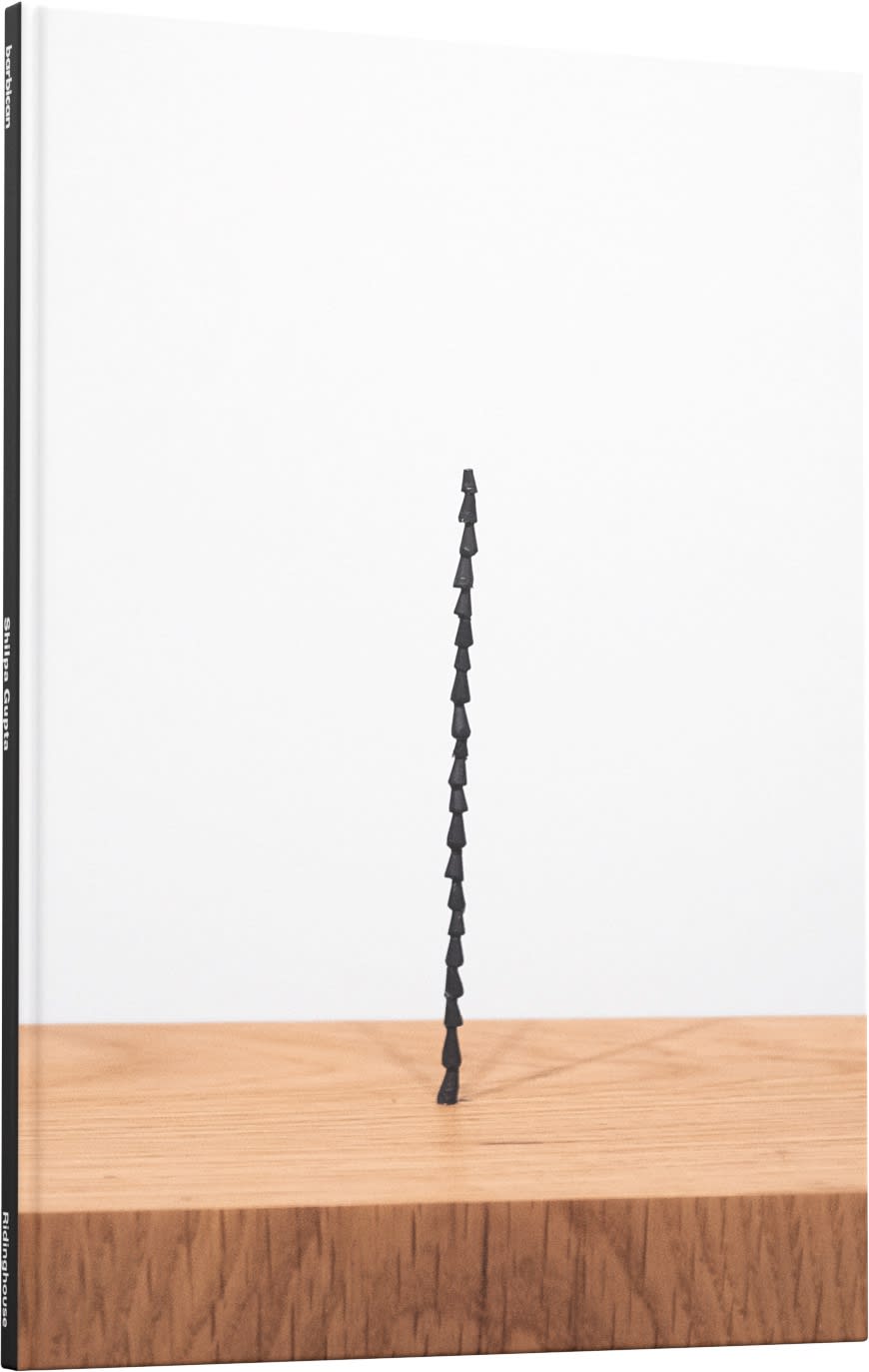 Shilpa Gupta: Sun At Night