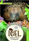Erlebnisbuch Igel: Stacheliger Besuch im Naturgarten Erlebnisbuch Igel: Stacheliger Besuch im Naturgarten