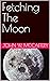 Fetching The Moon by John W. McCaffery