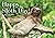 Happy Sloth Day! by April Pulley Sayre