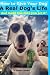 How to Give Your Dog a Real Dog's Life and make him love you for it