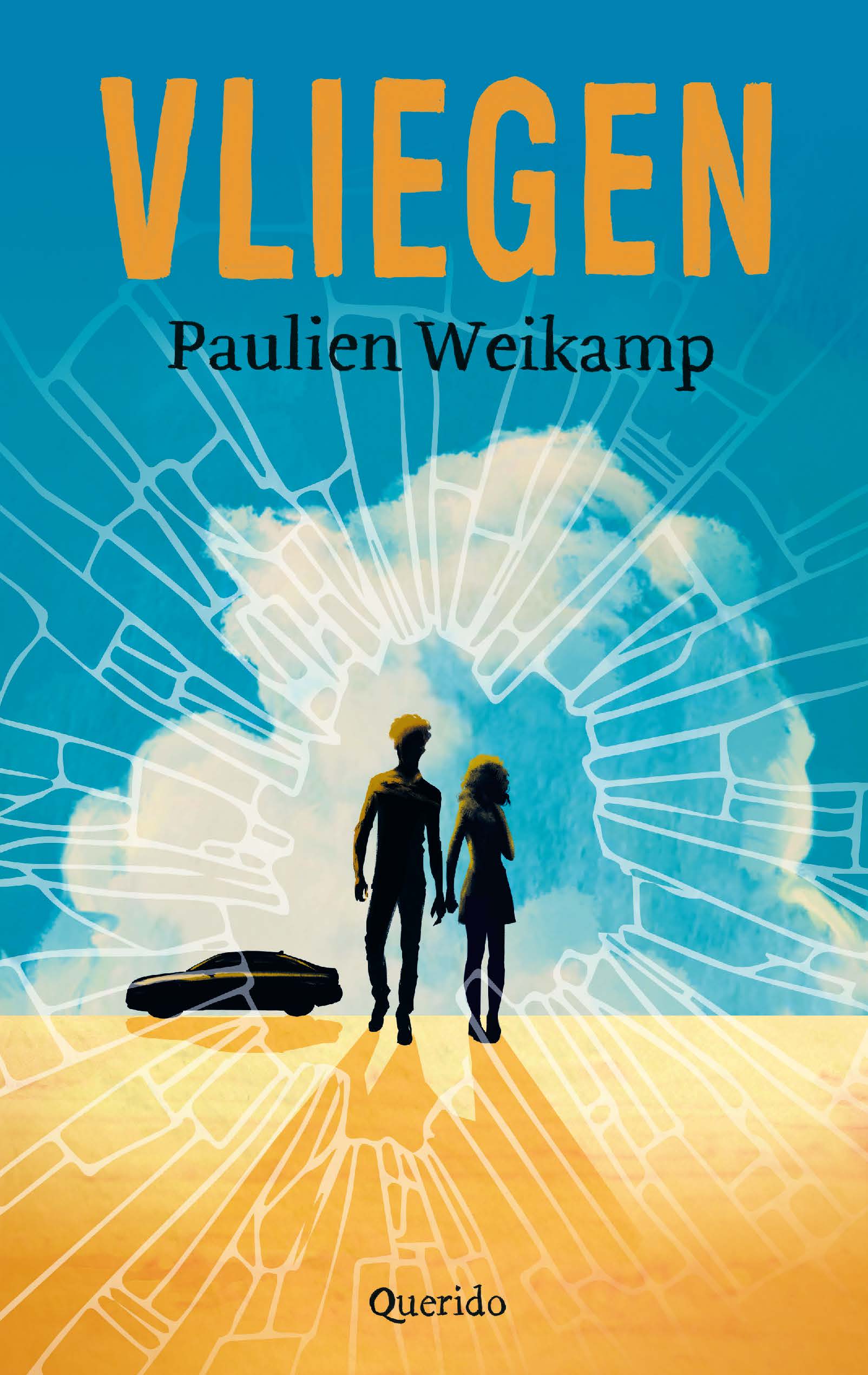 Vliegen (Paperback)