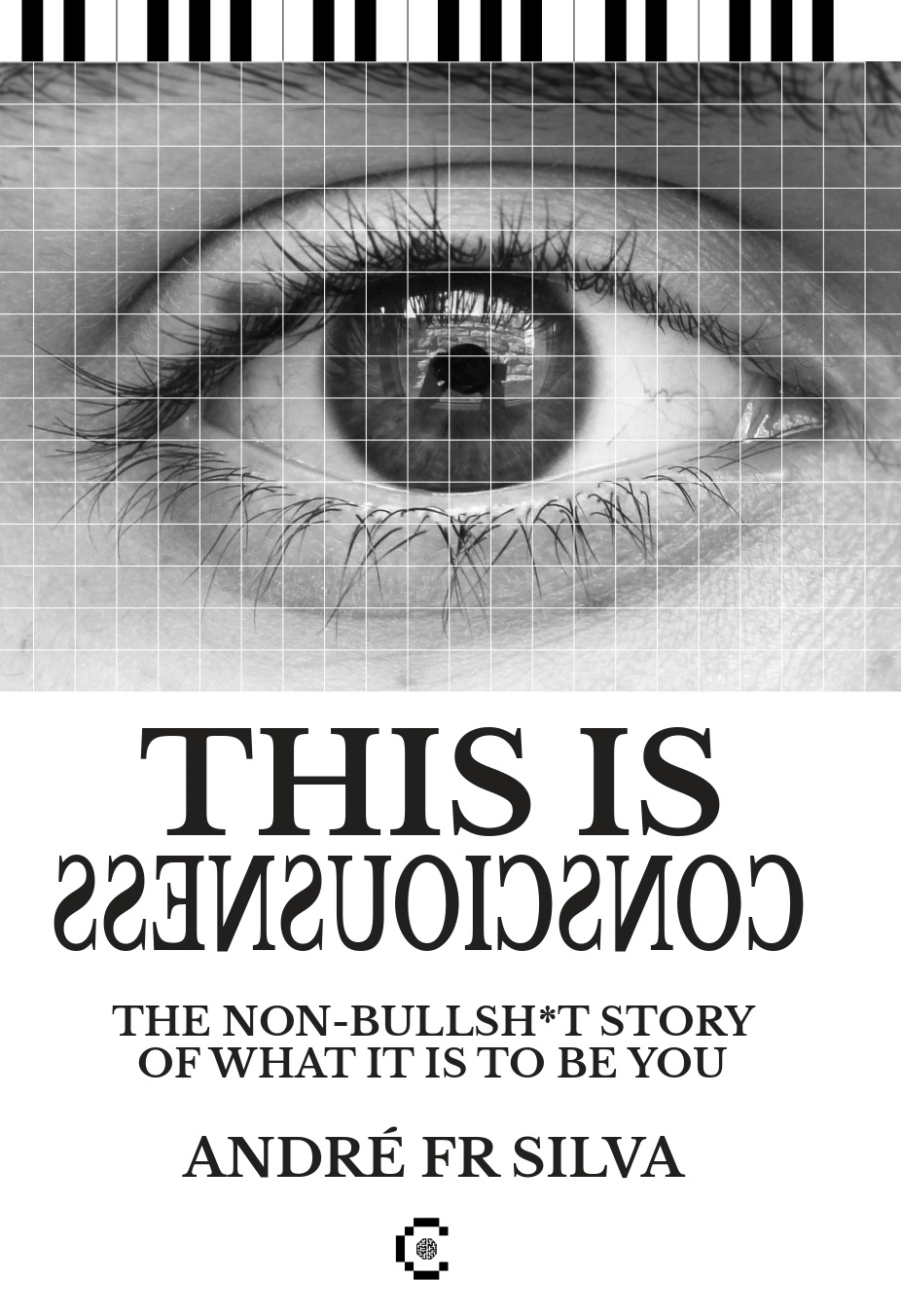 This is Consciousnes: The Non-Bullsh*t Story of What it is to Be You