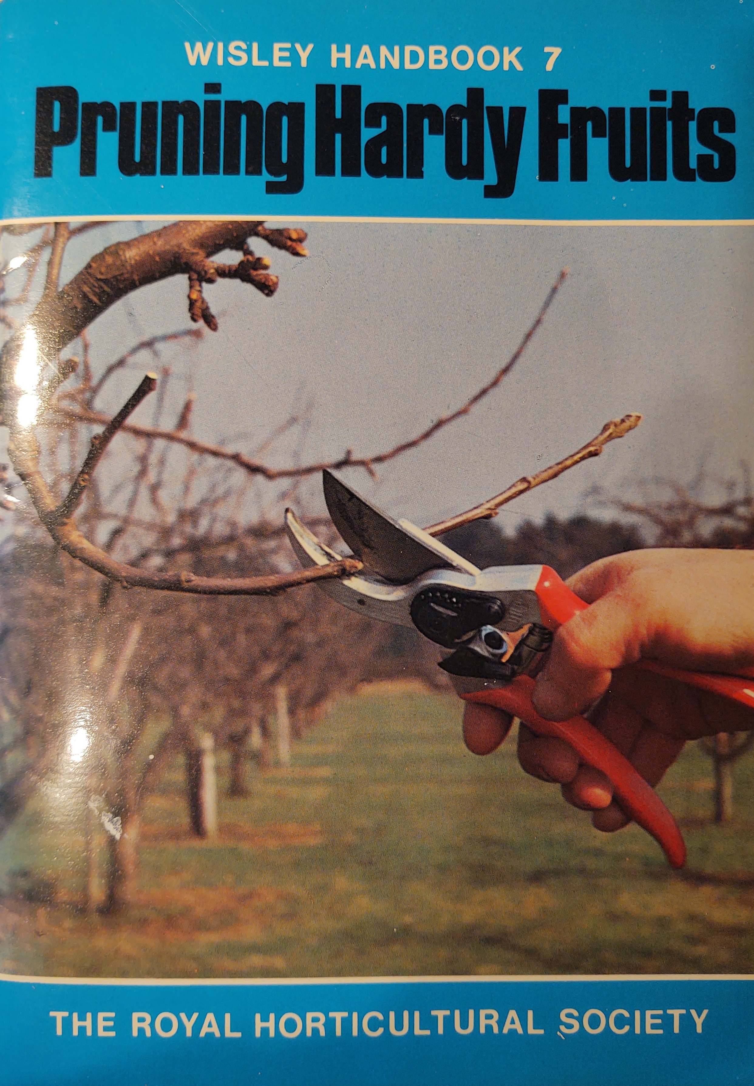 Pruning Hardy Plants (Paperback)