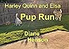Pup Run (The Adventures of Harley Quinn and Elsa, #16)