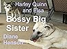 Bossy Big Sister by Diane Henson