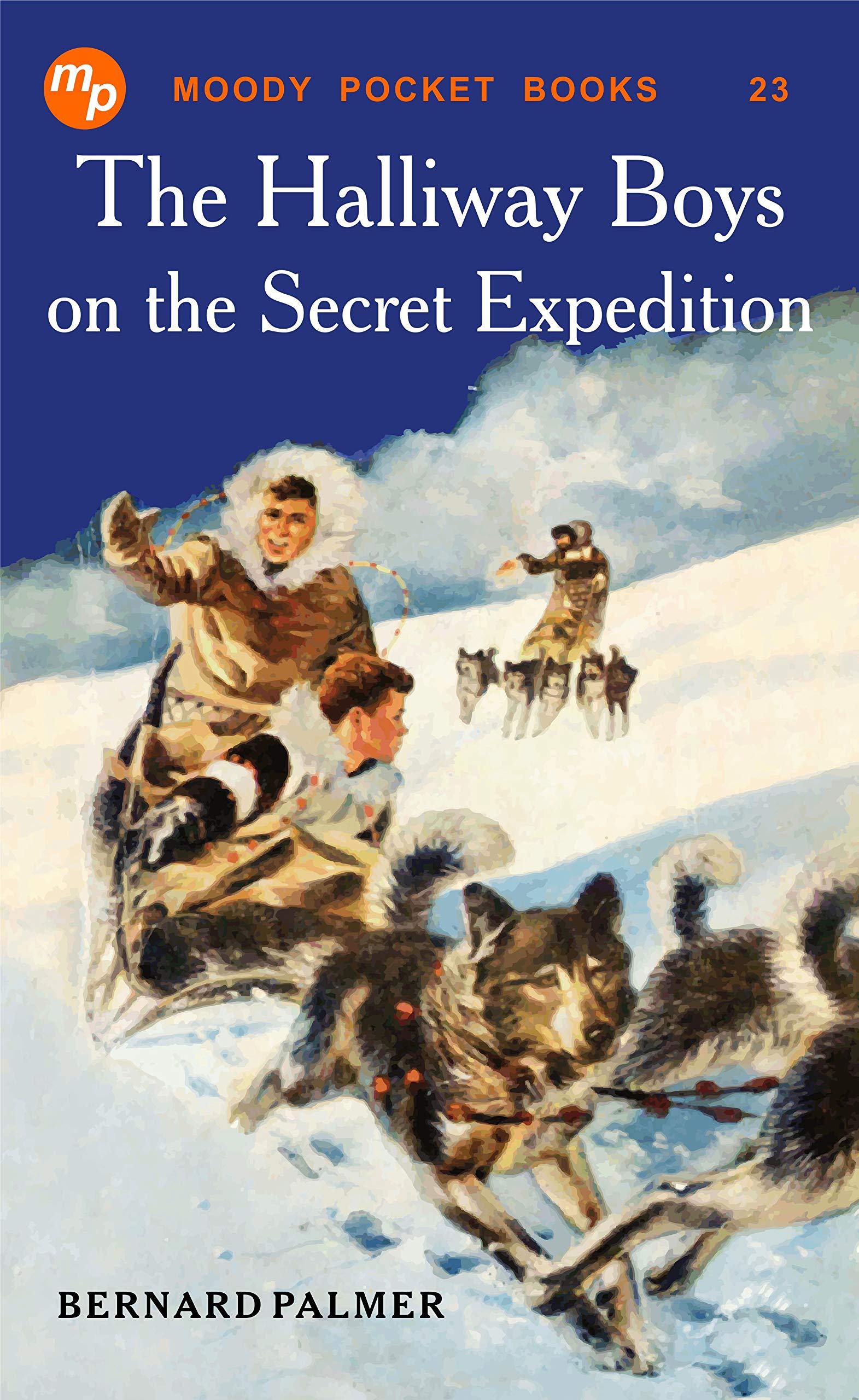The Halliway Boys on the Secret Expedition (Kindle Edition)