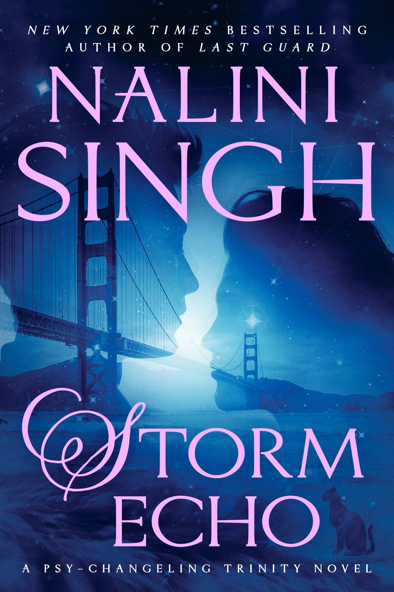 Storm Echo (Psy-Changeling Trinity, #6)