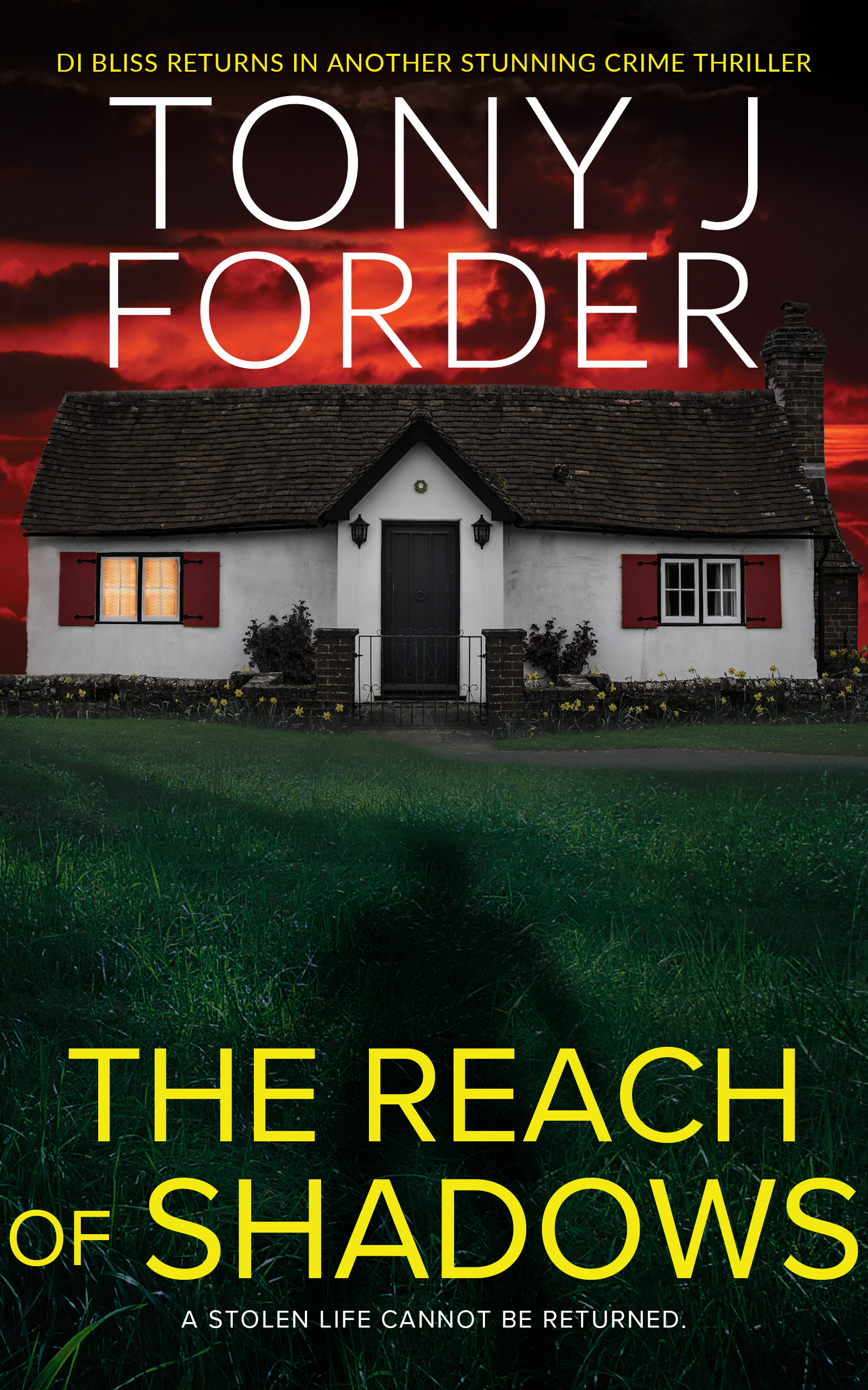 The Reach of Shadows (DI Bliss, #4)