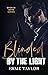 Blinded by the Light (The Broken Boys #3)