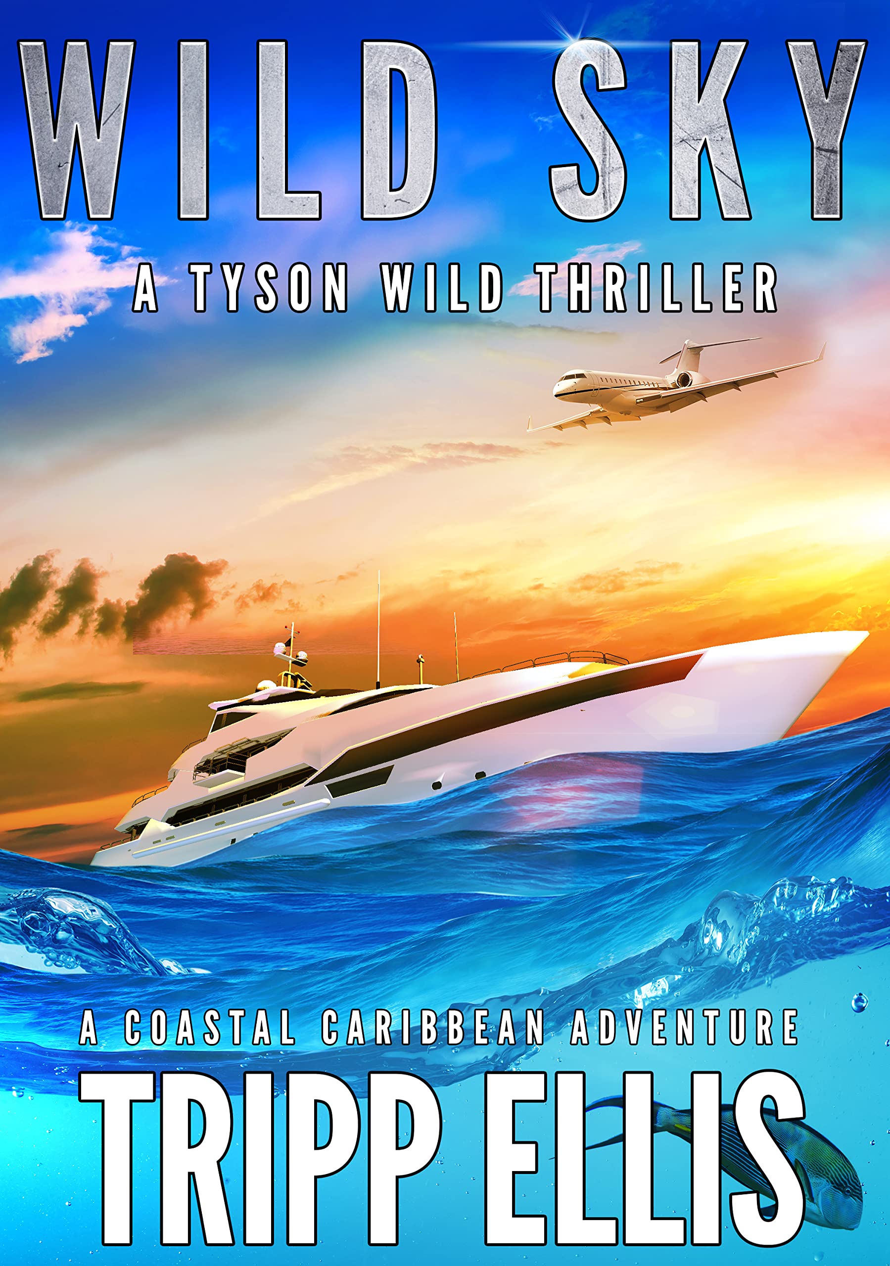 Wild Sky (Tyson Wild Thriller, #39)