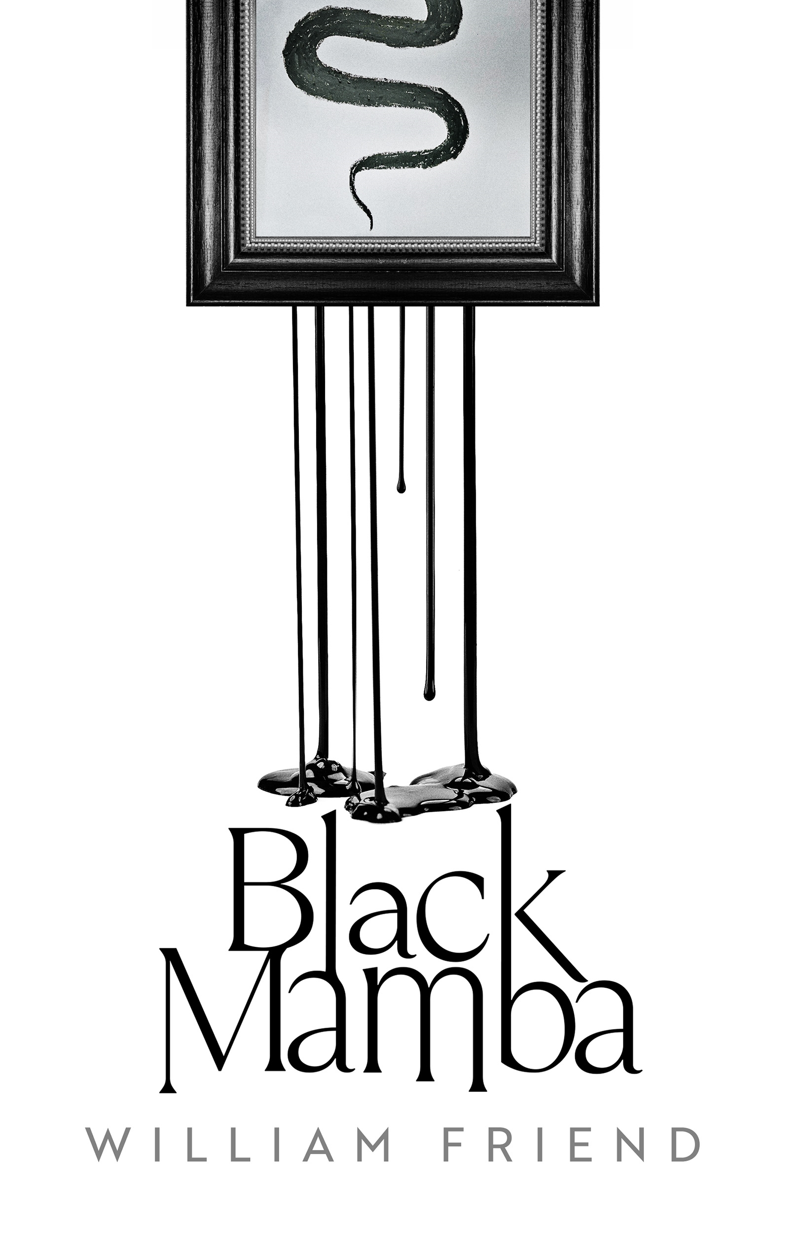 Black Mamba (Hardcover)