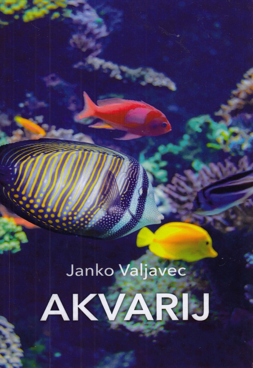Akvarij