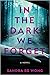 In the Dark We Forget: A Novel