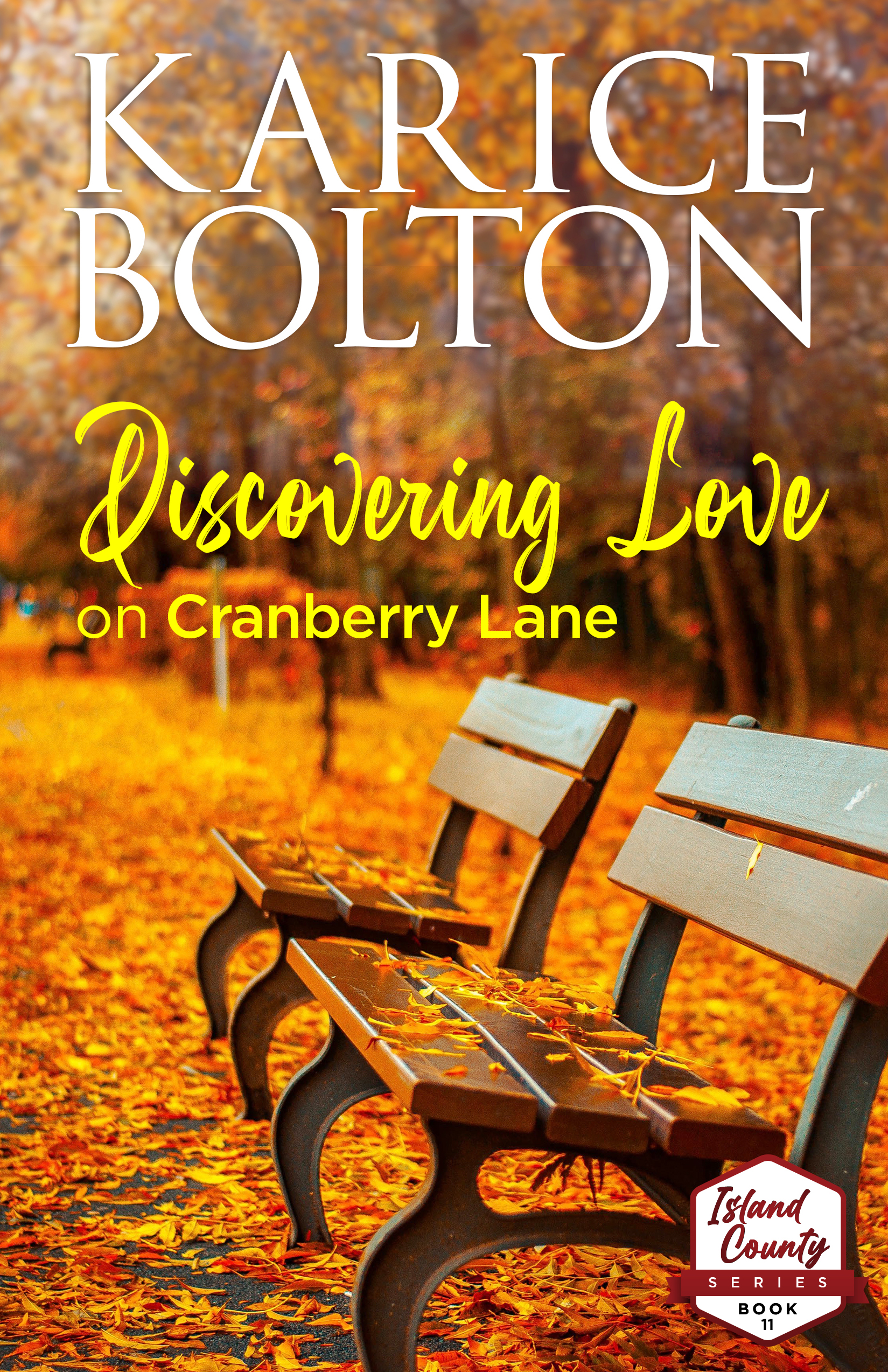 Discovering Love on Cranberry Lane (Island County Book 11)